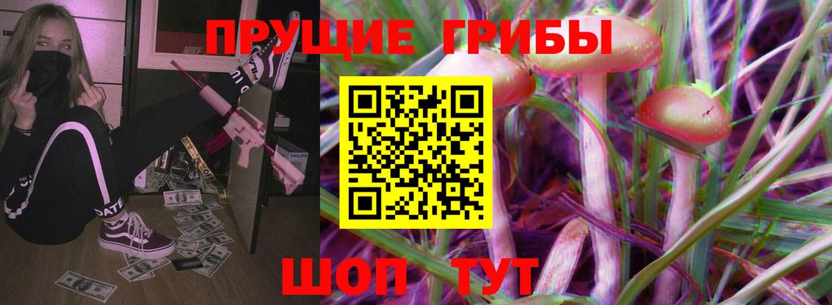 Избербаш  что такое   Вход с VPN  Псилоцибиновые грибы прущие грибы 
