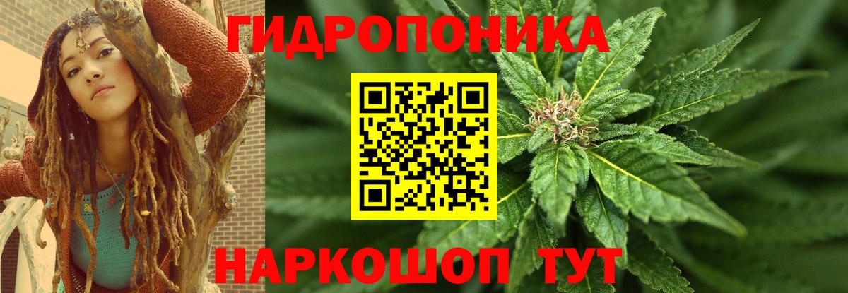 Канабис Bruce Banner Избербаш